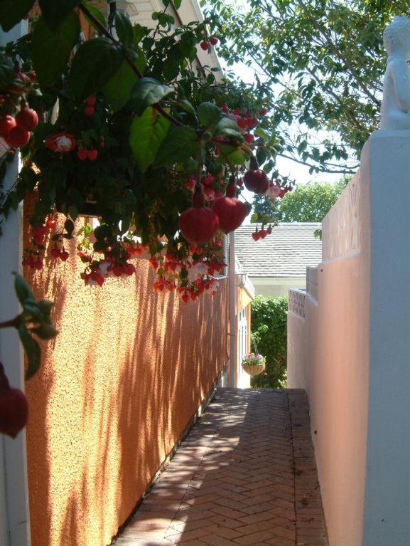 Grockle Nook Holiday Apartment Brixham Exterior foto